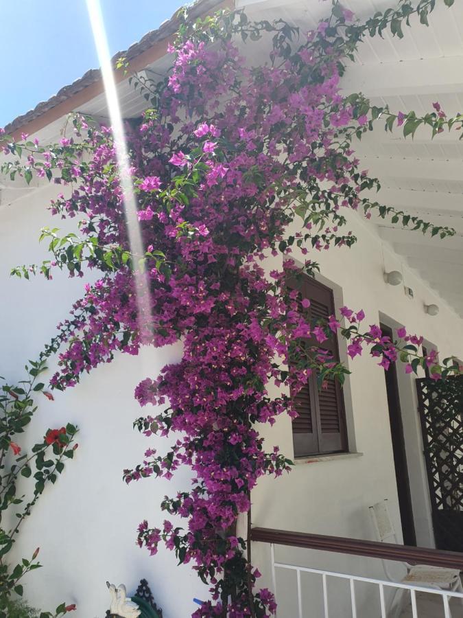 Daglas Seaside Studios Nydri  Dış mekan fotoğraf