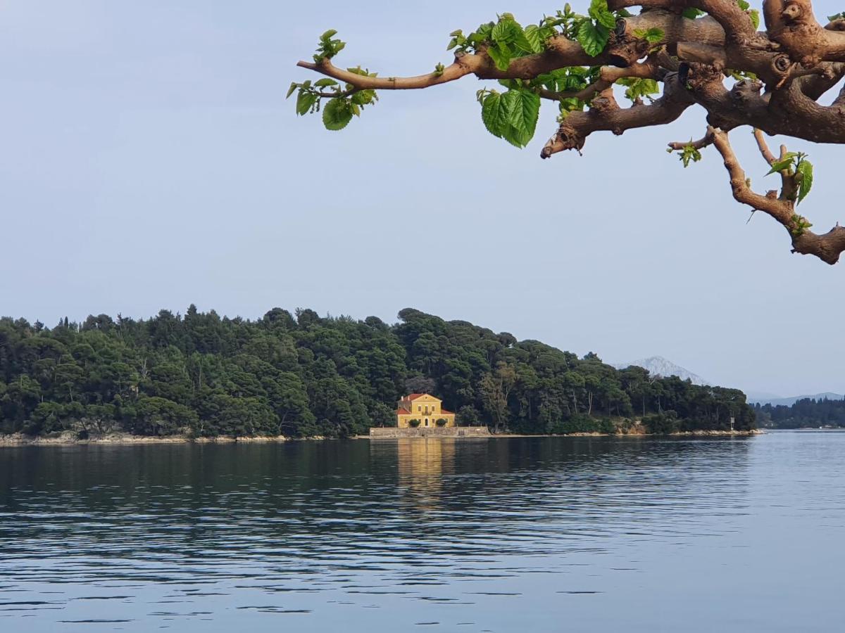 Daglas Seaside Studios Nydri  Dış mekan fotoğraf